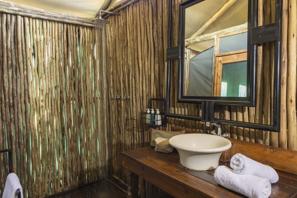 A rain shower with solar heated hot water in the spacious en suite bathroom at Mogogelo camp