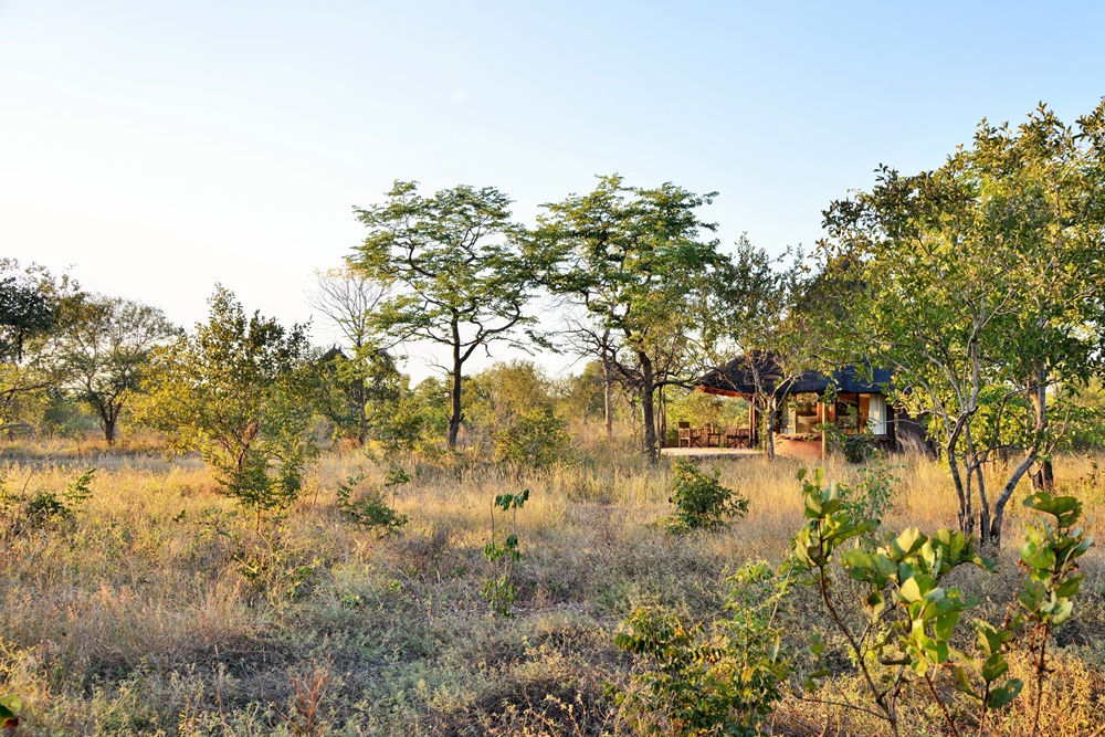 A thatched chalet nestled into the bush at Wildtrack Safari Eco lodge