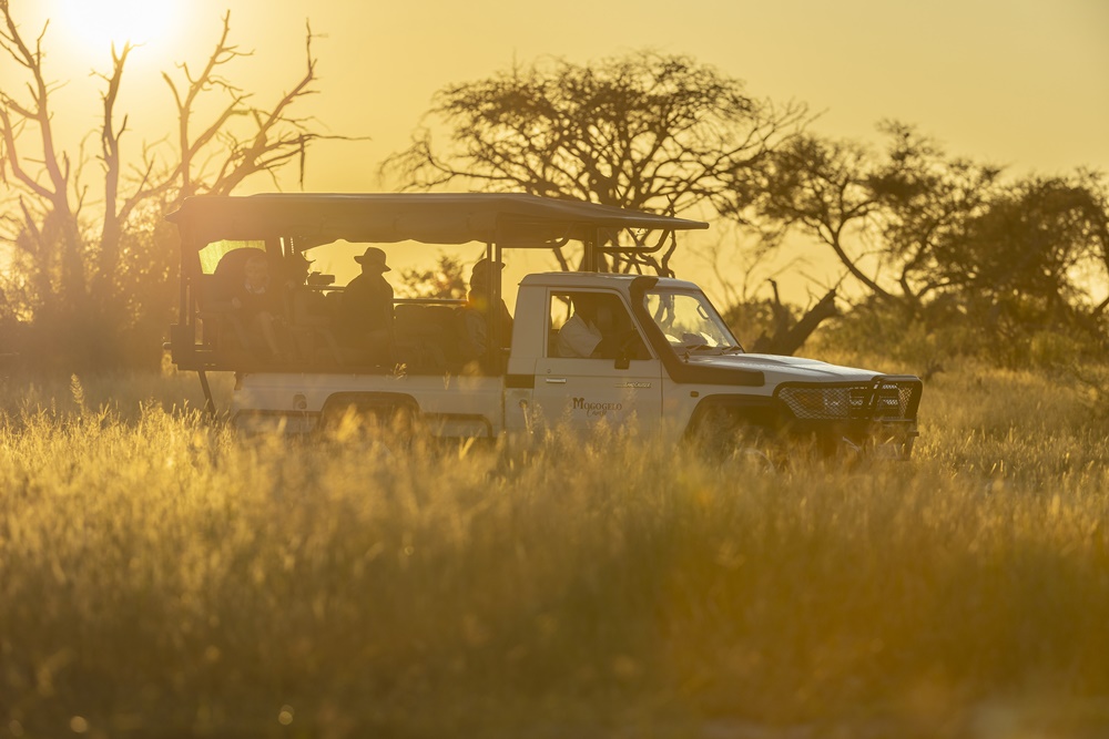 Discover the bush at Mogogelo Camp on private game drives