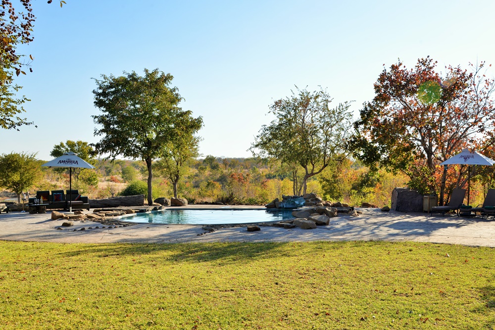 Enjoy a refreshing dip in the sunny pool overlooking the permanent waterhole at Wildtrack Safari Eco lodge