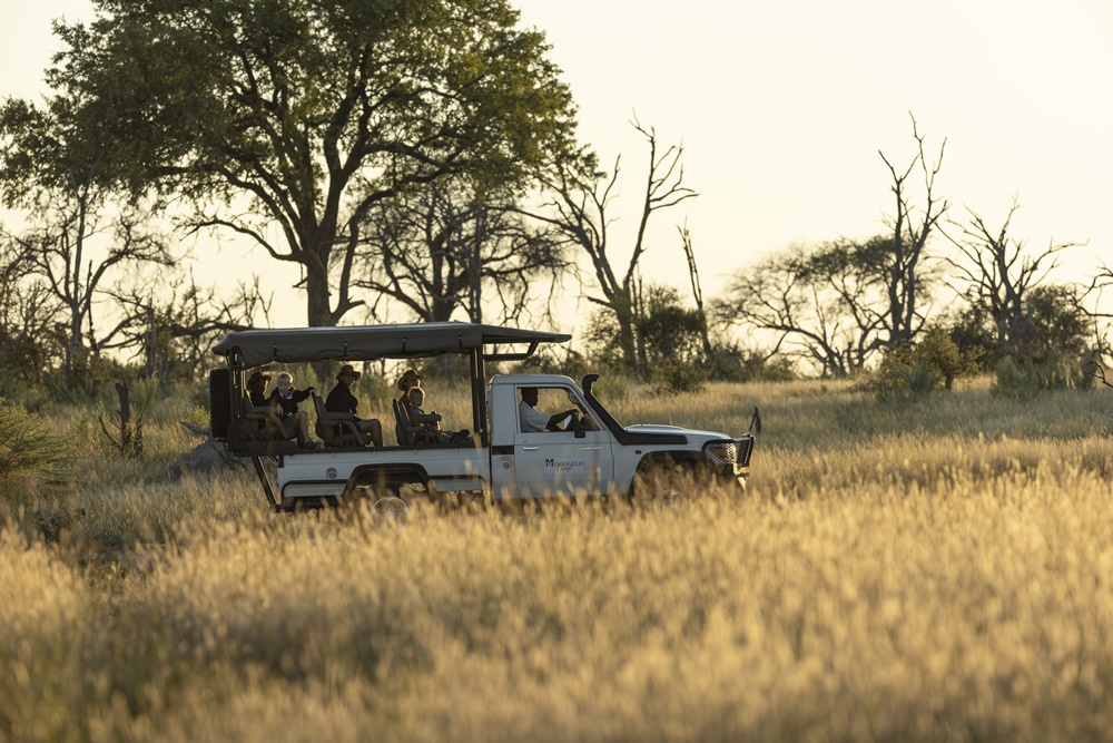 Experience game drives through the private Sankuyo concession when at Mogogelo Camp