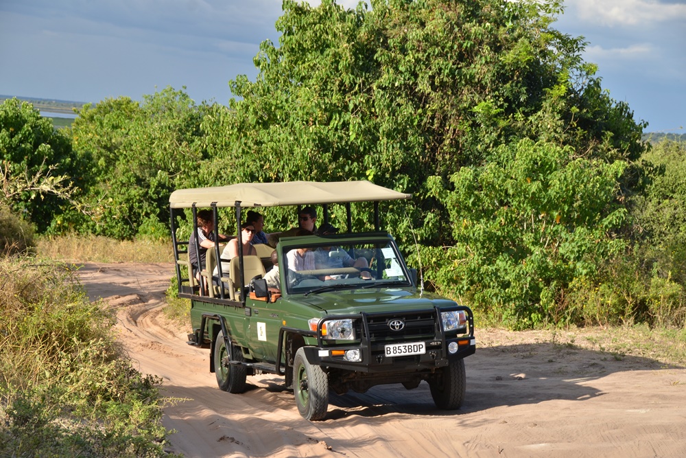 Jackalberry gamedrive through Chobe National Park