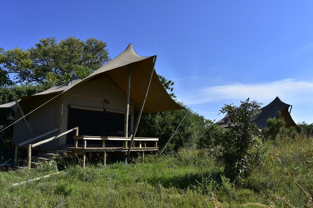 Uniquely designed tents for Camp Khwai with expansive doorways