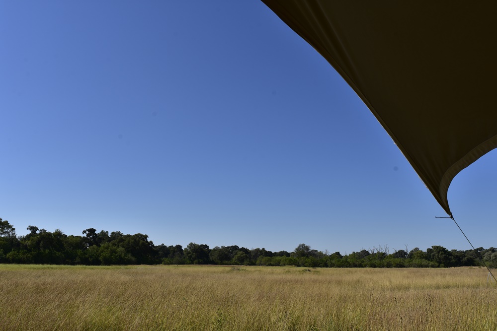View from your deck over the floodplain at Camp Khwai