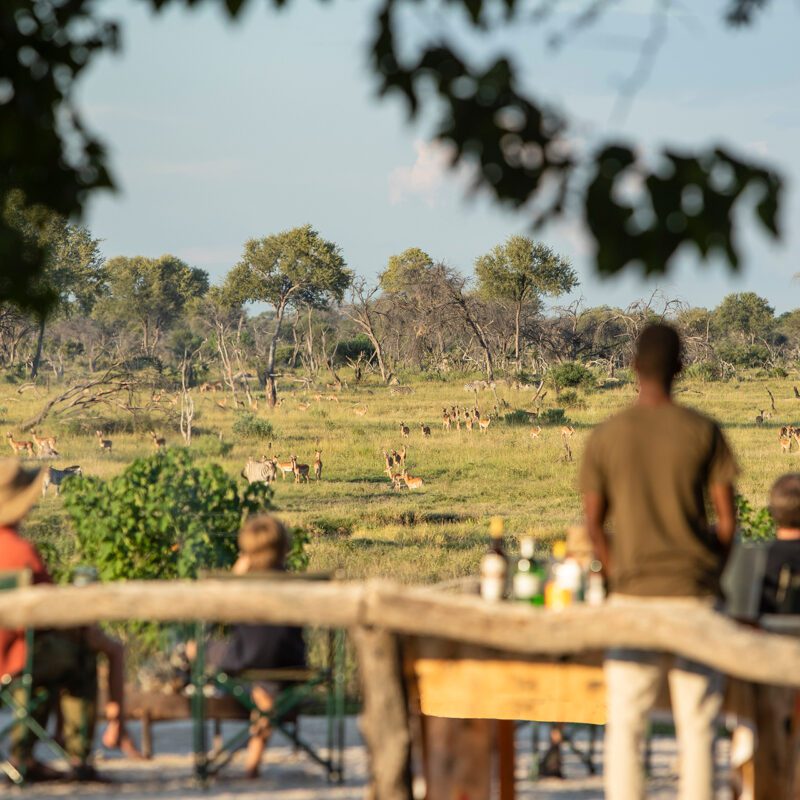 The Pack Mogogelo animals from deck