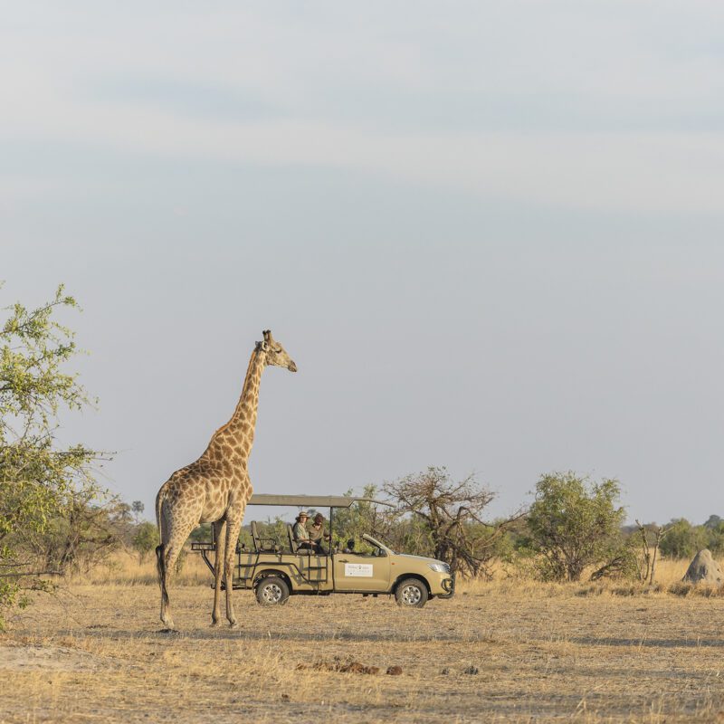 The Pack Wildtrack Safari Eco Lodge