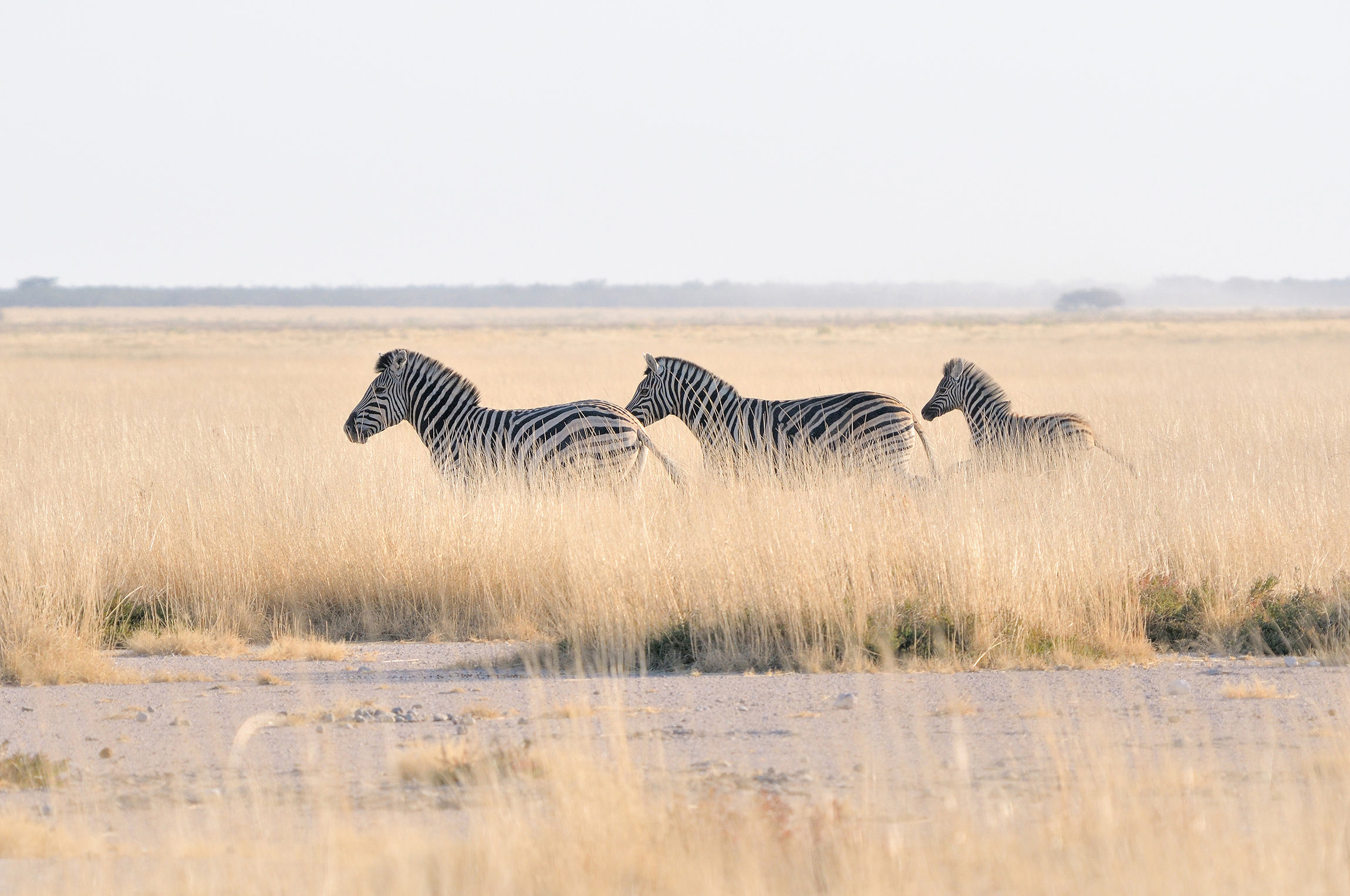 Landscapes and soundscapes – Makgadikgadi Pans